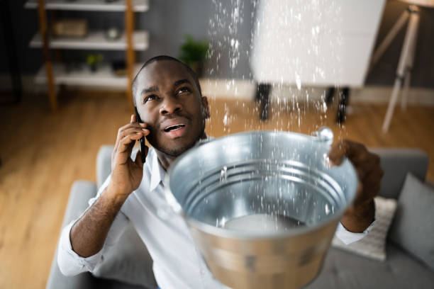 Best Water damage contractors near me  in Burlington, ND