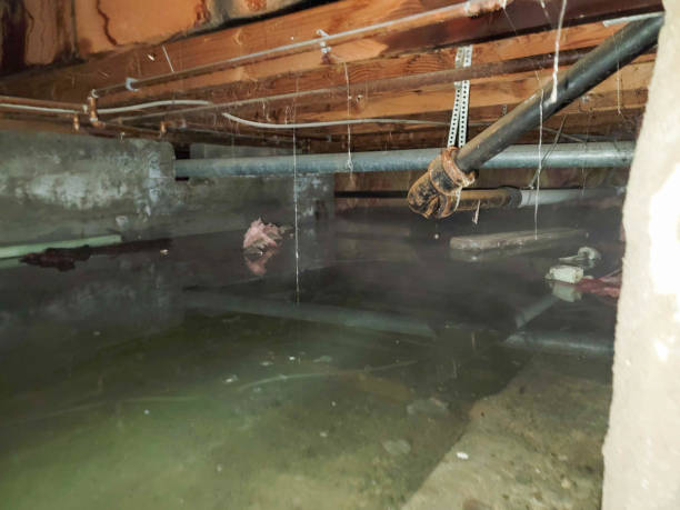 Best 24-hour water damage restoration  in Burlington, ND