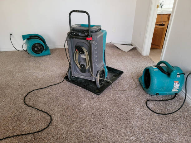 Best Water damage restoration insurance claims  in Burlington, ND