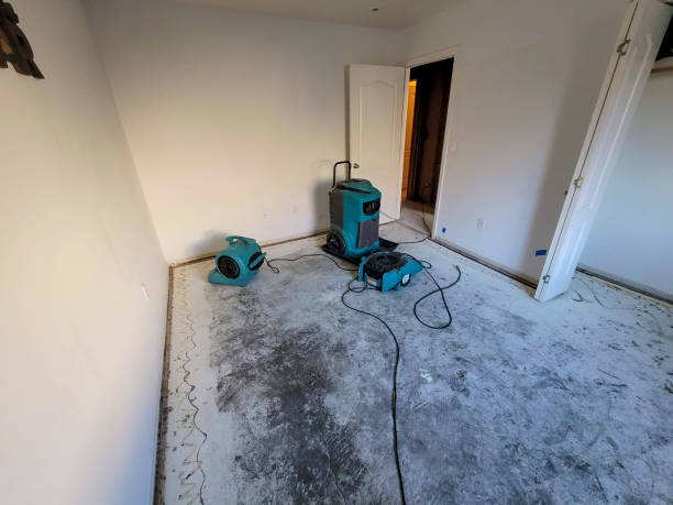 Sewage cleanup and water damage restoration in Burlington, ND