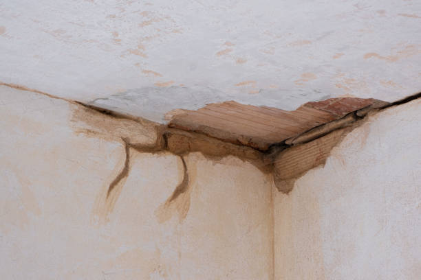 Best Flood restoration services  in Burlington, ND