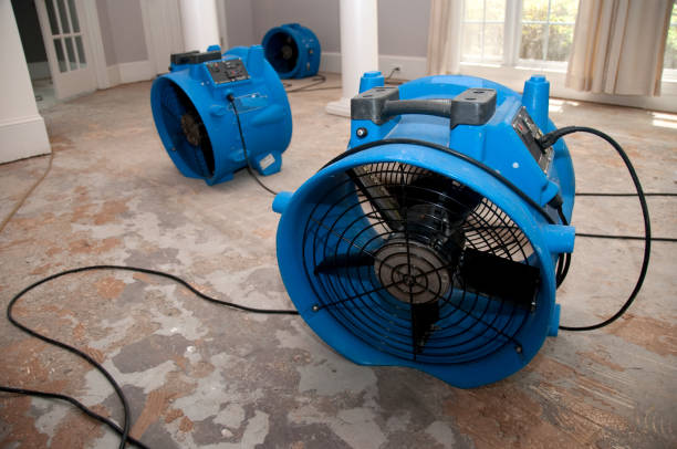 Best Carpet water damage restoration  in Burlington, ND