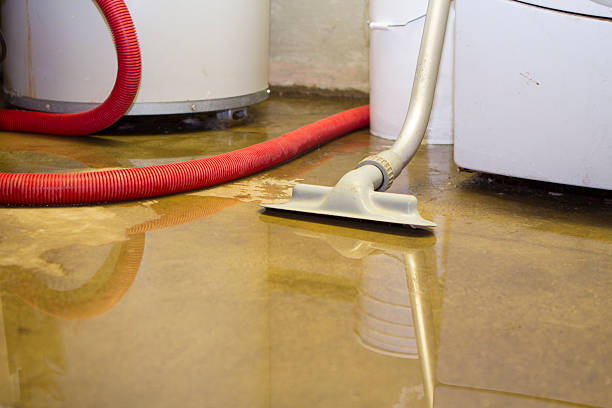 Reliable Burlington, ND Water damage restoration Solutions