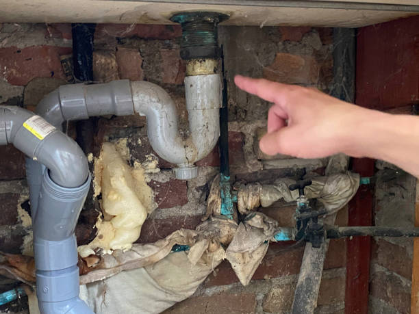 Best Water damage cleanup near me  in Burlington, ND