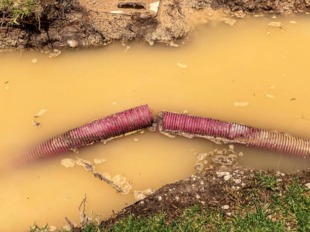 Best Water damage restoration near me  in Burlington, ND